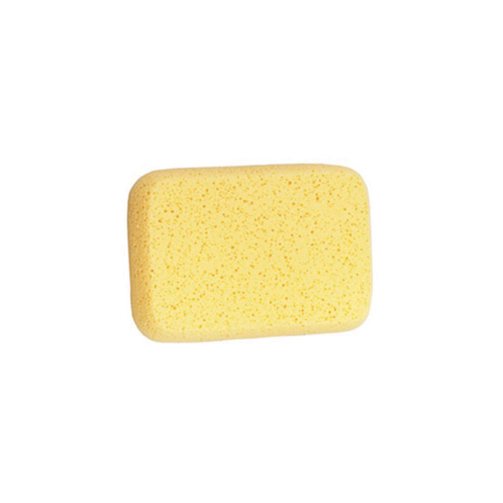Sponge