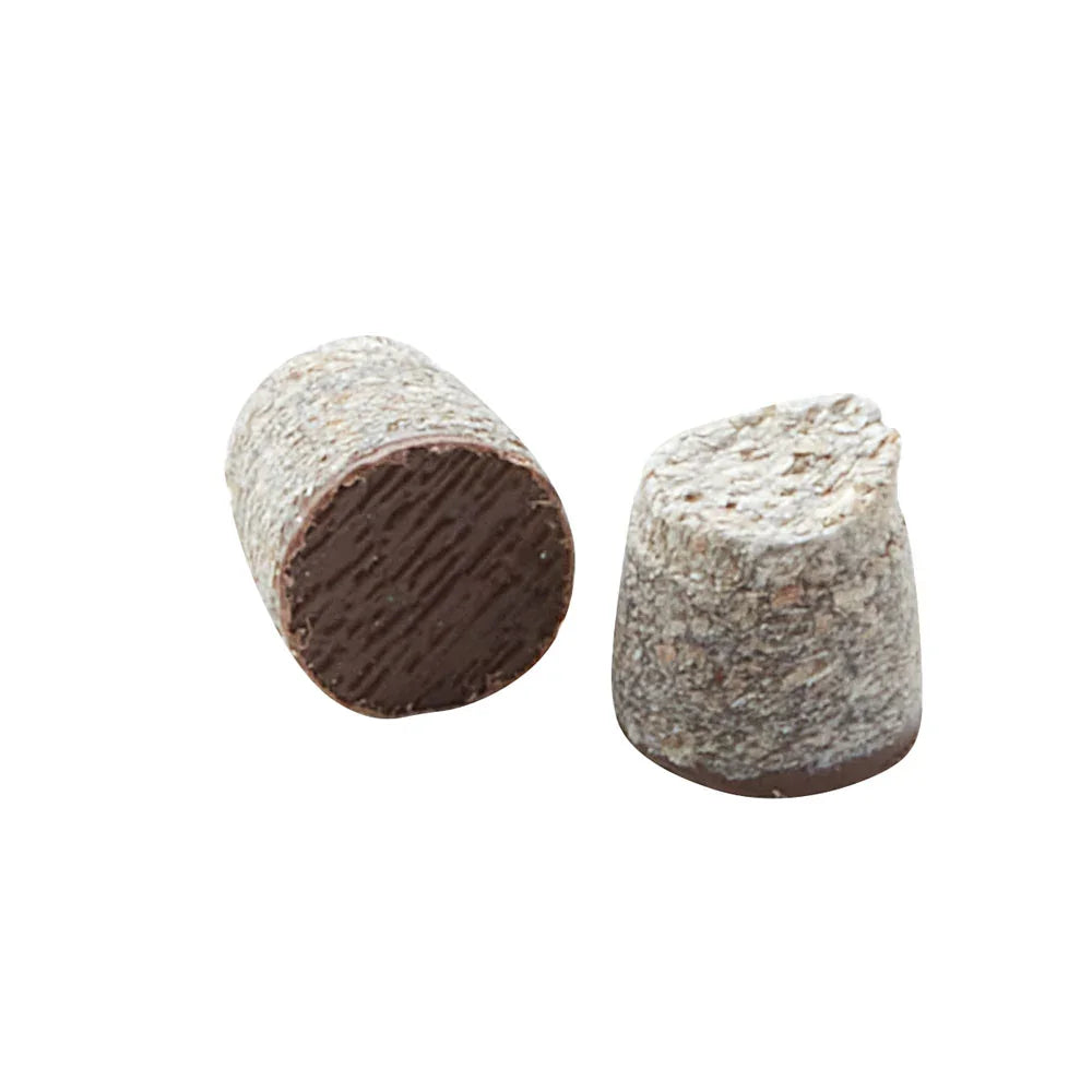Bouchons Pro Plug Fiberon - Weathered Cliff