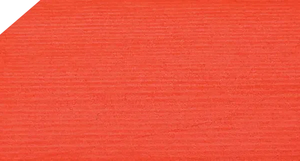Teinture pour bois extérieur - Sansin SDF-2 - Couleurs Saturées et Ultra-Saturées 946ml
