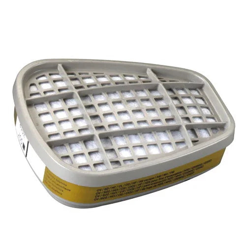 Cartouche pour gaz et vapeurs multiple