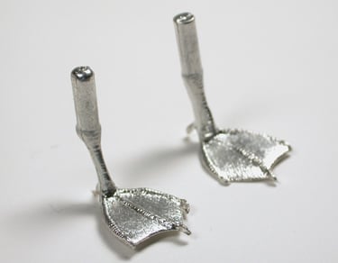 Pattes de petits canard