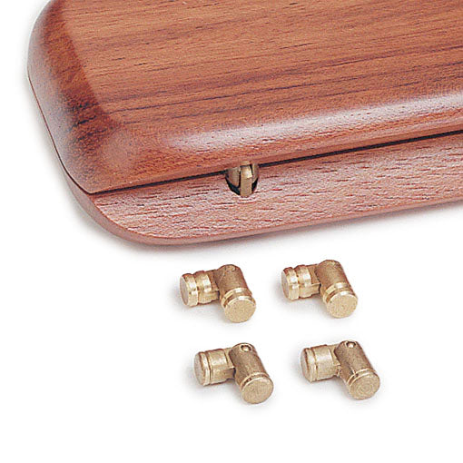 Mini charnières à cylindre pour boîtier