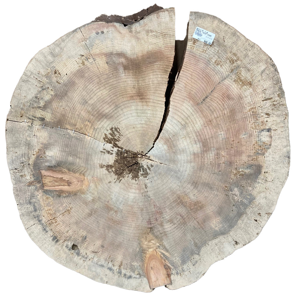 Soft walnut slice, 20/4 X 28" X 28"