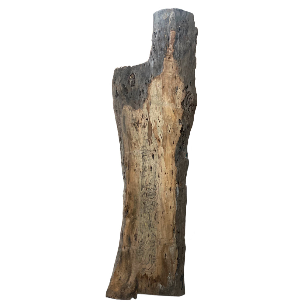 Elm Live Edge Slabs - 12/4 x 25" x 82"