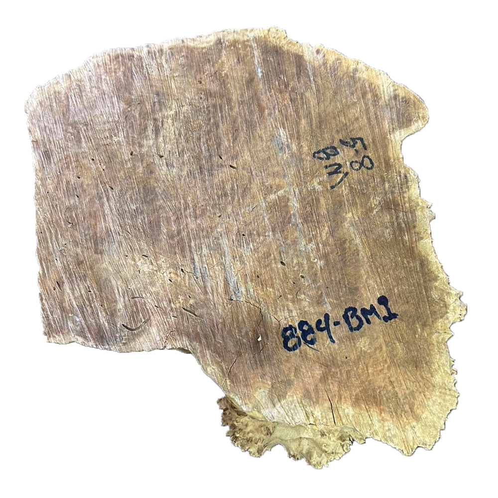 Brown Mallee Burl Wood - 4" x 10" x 10 1/2"