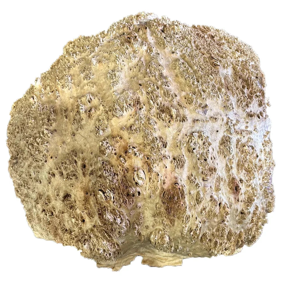 Loupe de Coolibah - 4 1/2" x 14" x 14"