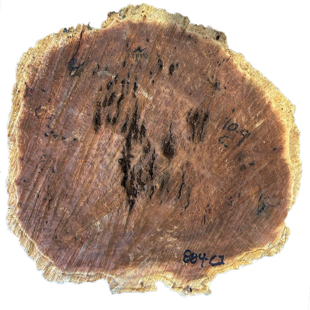 Coolibah Burl Wood - 4 1/2" x 14" x 14"