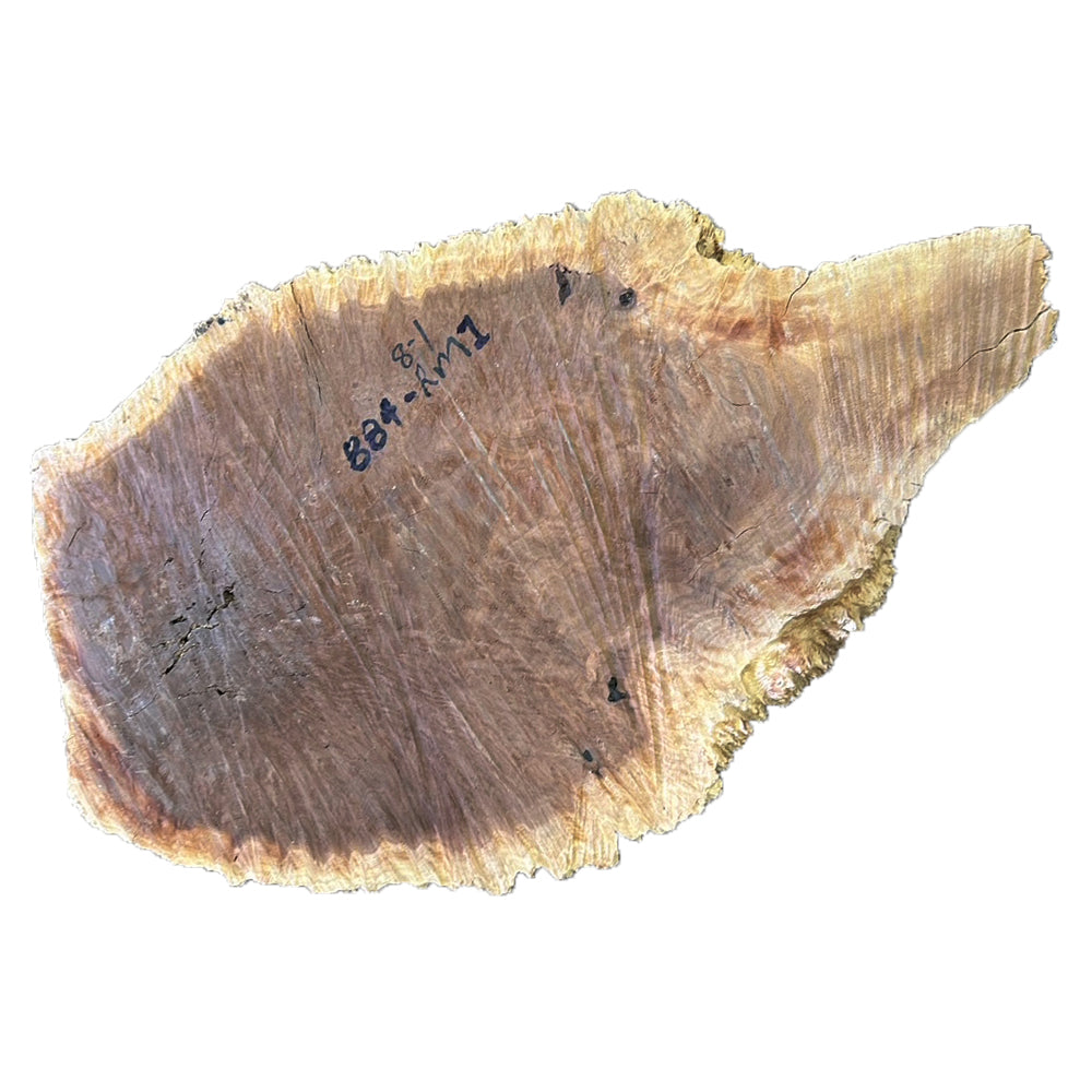 Red Mallee Burl Wood - 4 1/2" x 11" x 17"