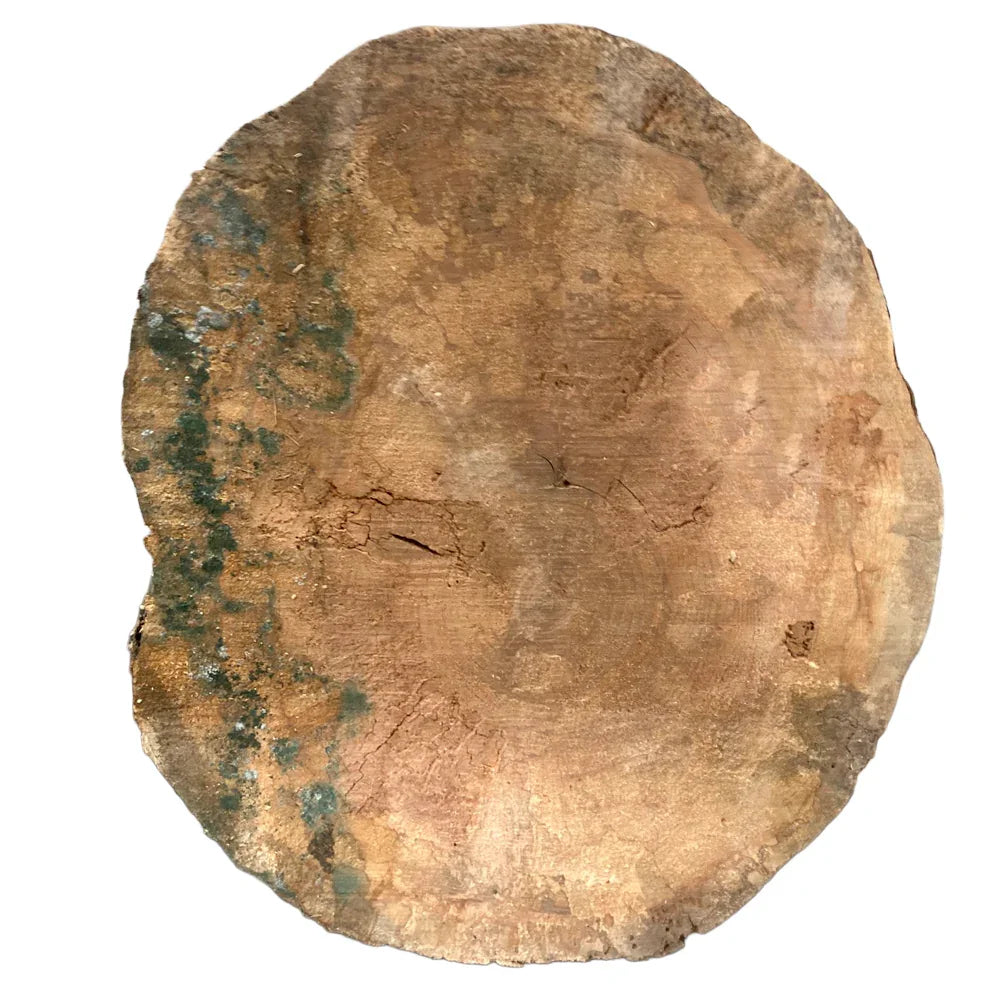 Tranche de bois - Essence divers - 24'' x 28'' (environ)