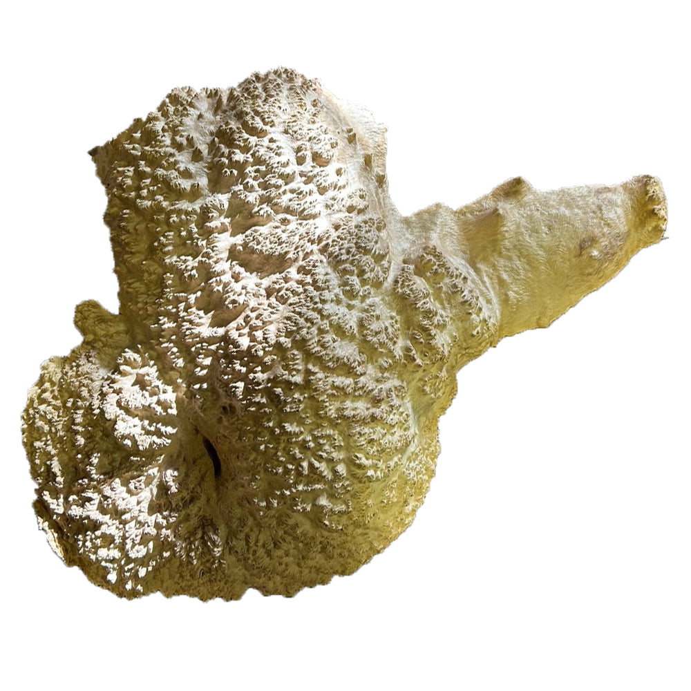 West Red Box Burl Wood - 3 1/2" x 18" x 24"