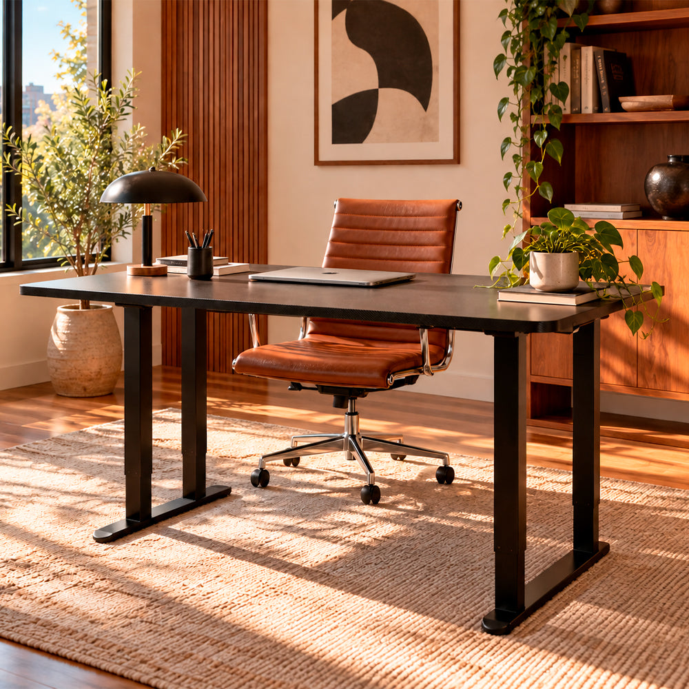 Sit-stand Desk - Fondation Collection and Quadra