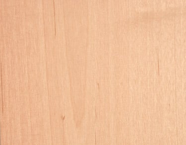 Bandes de chant en bois d'érable préencollées