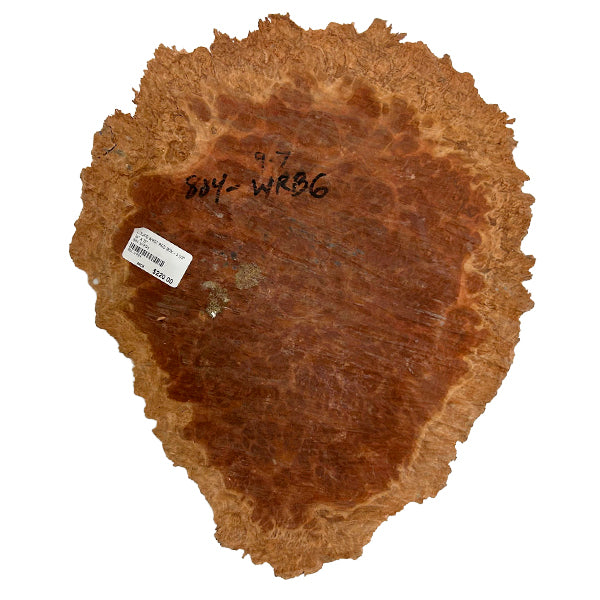 Burl Wood West Red Box - 3 1/2" x 14" x 17"