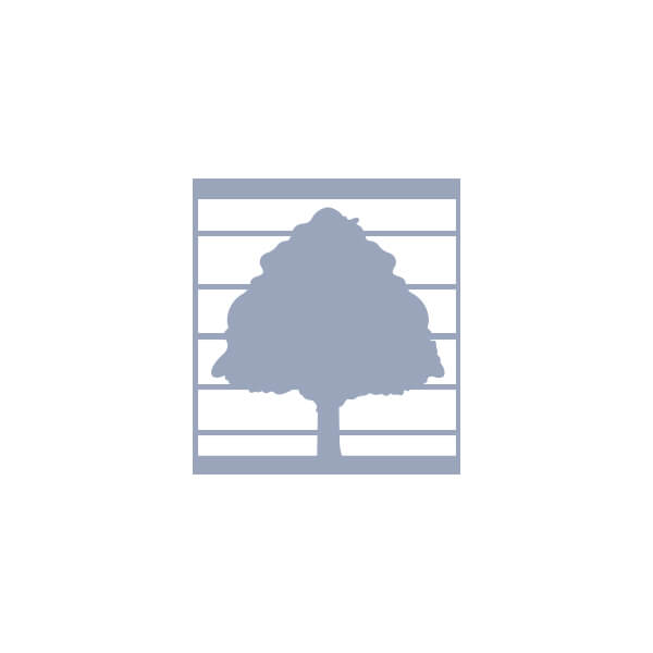 PASTILLE DE CARBURE POUR DUPLICATEUR