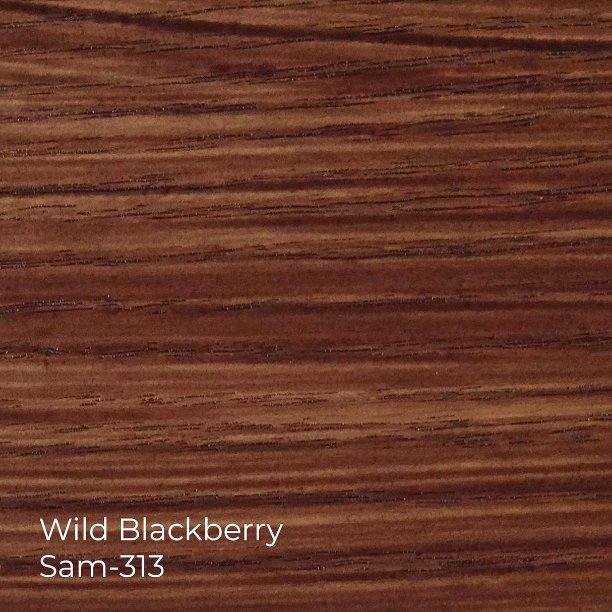 2 in 1 Colored Varnishes - SamaN