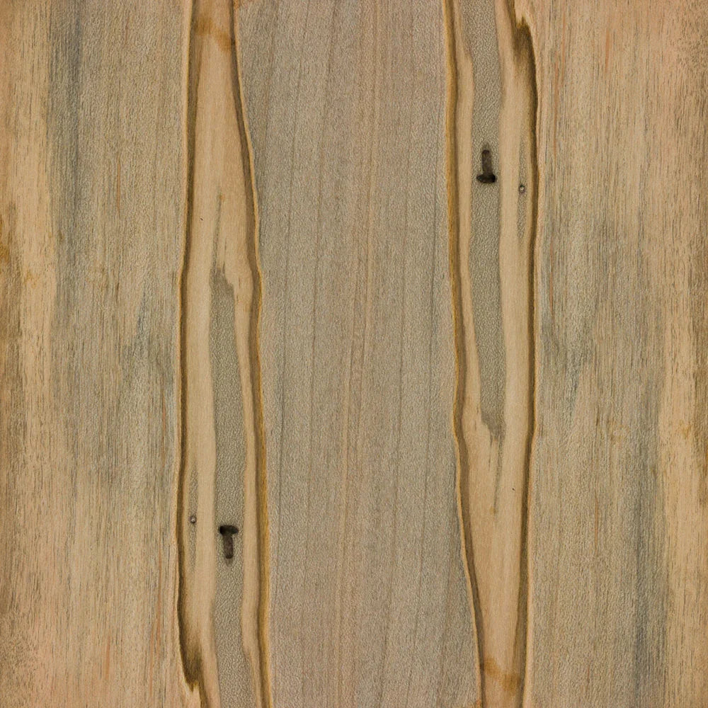 Ambrosia Maple - Rough Cut Lumber