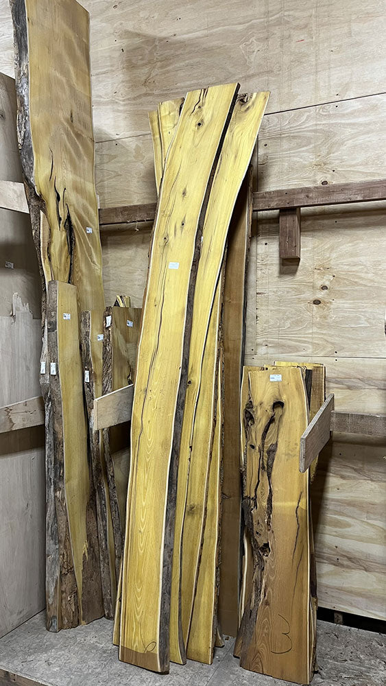 Plots d'Osage Orange