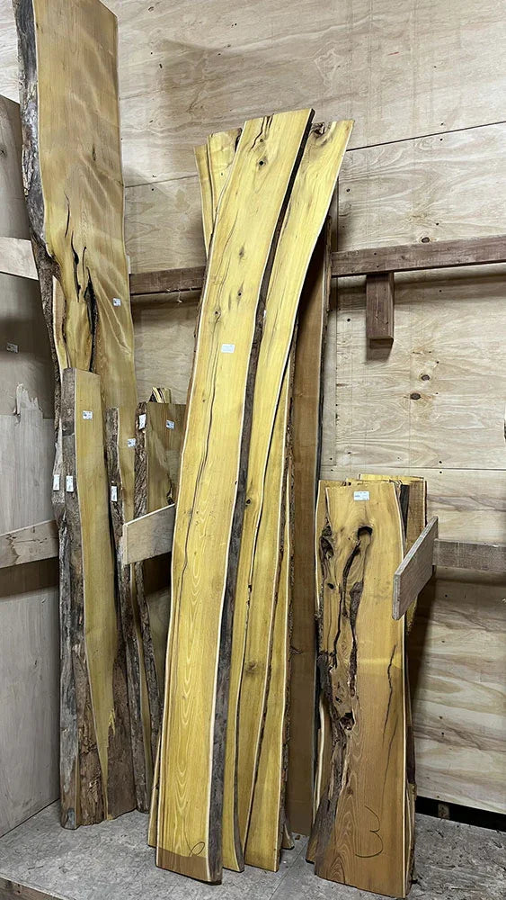 Osage Orange Live Edge Slabs