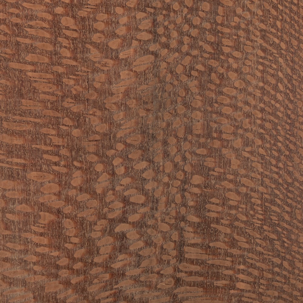 Lacewood - Bois brut