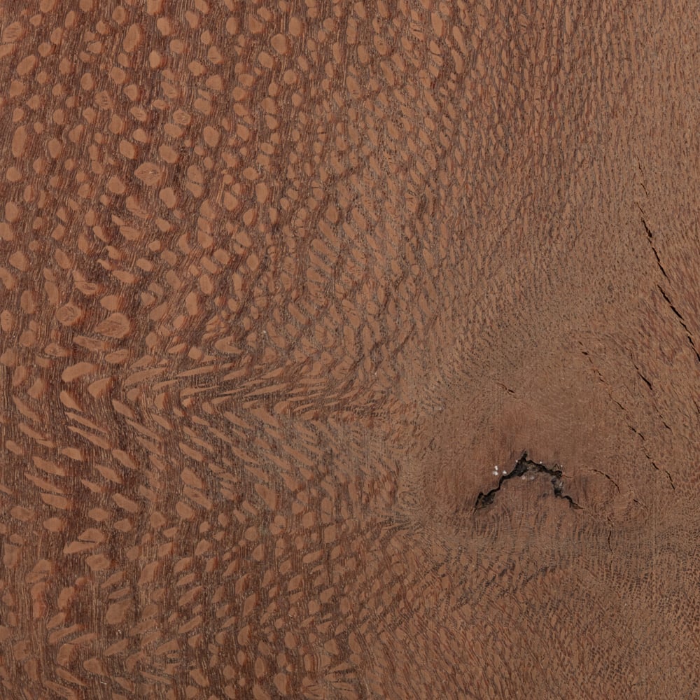 Lacewood - Bois brut