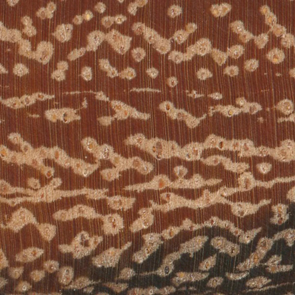 Marblewood for knife handle (2/pcs) 1/2" x 2" x 6"