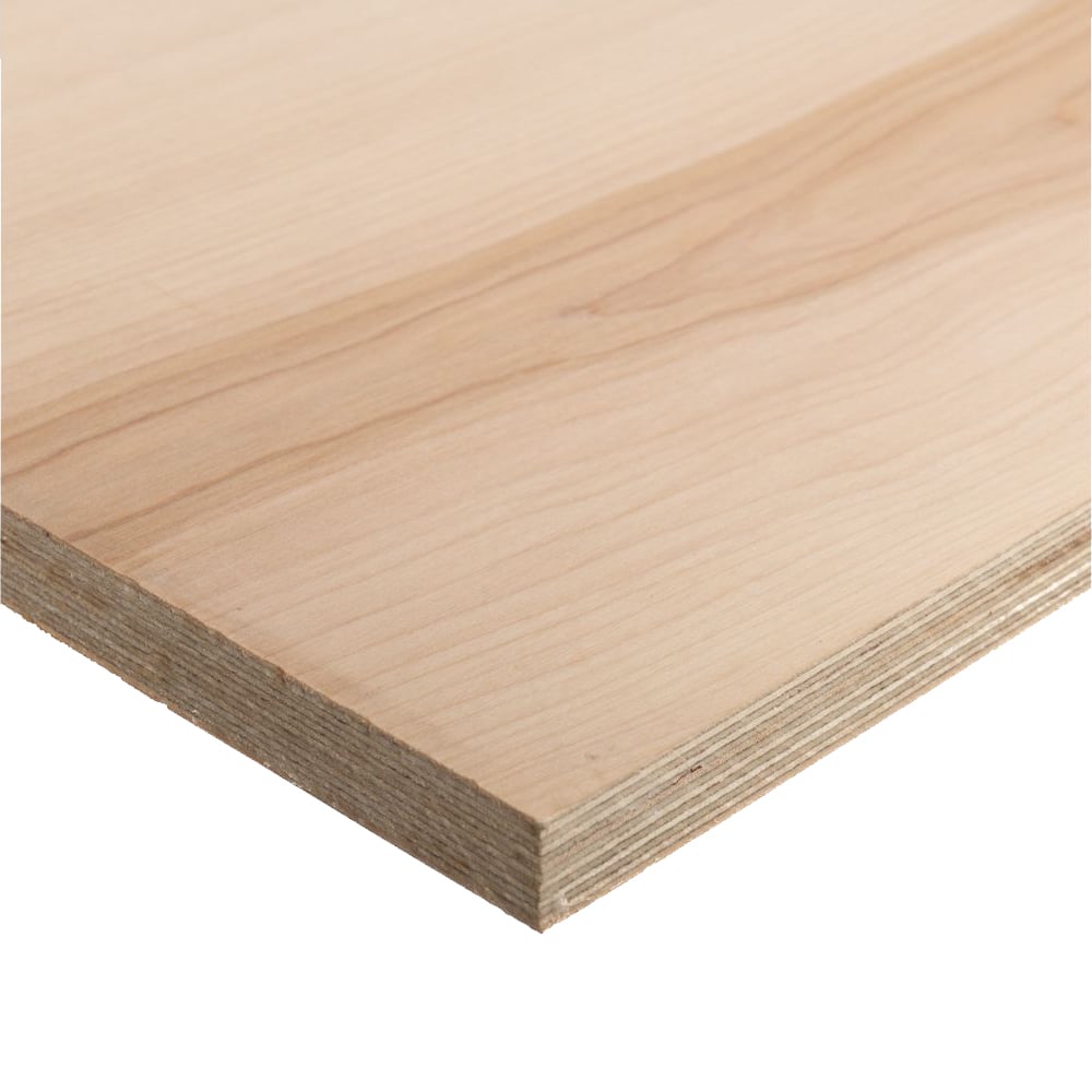 Birch panels - 4' x 8'