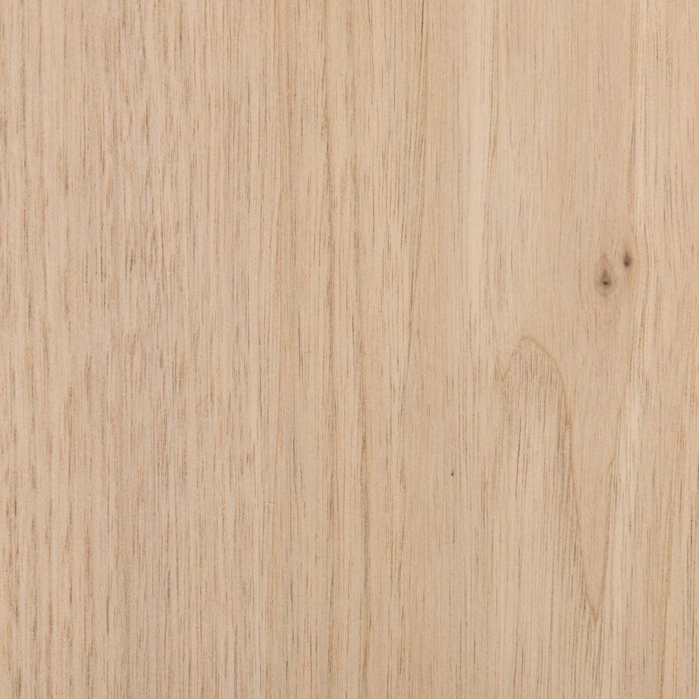 Noyer Tendre - Bois brut