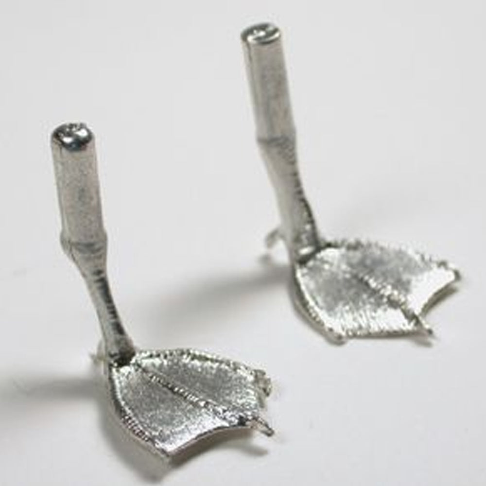 Pattes de petits canard