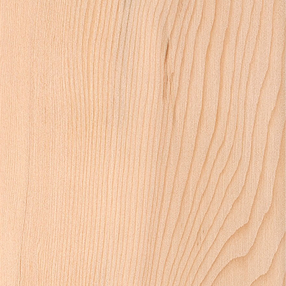 Eastern Hemlock - 4" x 4"