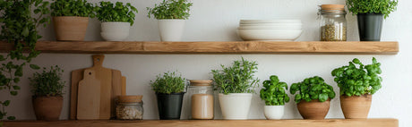 Étagères en bois massif décorées de plantes en pot et ustensiles de cuisine, ambiance naturelle.