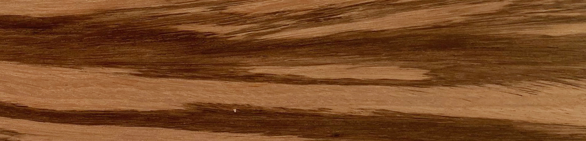 Goncalo Alves (Tiger Wood)