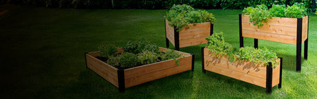Bacs potagers en bois sur gazon, remplis de plantes vertes, idéals pour jardin terrasse.