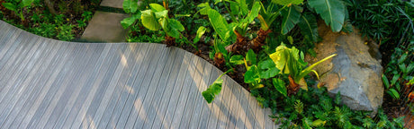 Terrasse en bois composite gris courbée bordée de plantes vertes exotiques et d'une grosse pierre
