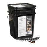 Concealoc fastening system