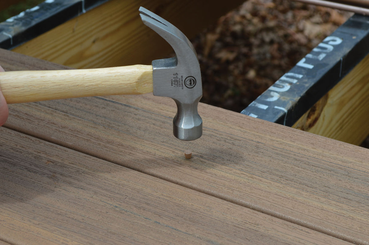 Bouchons Pro Plug Fiberon - Beach House