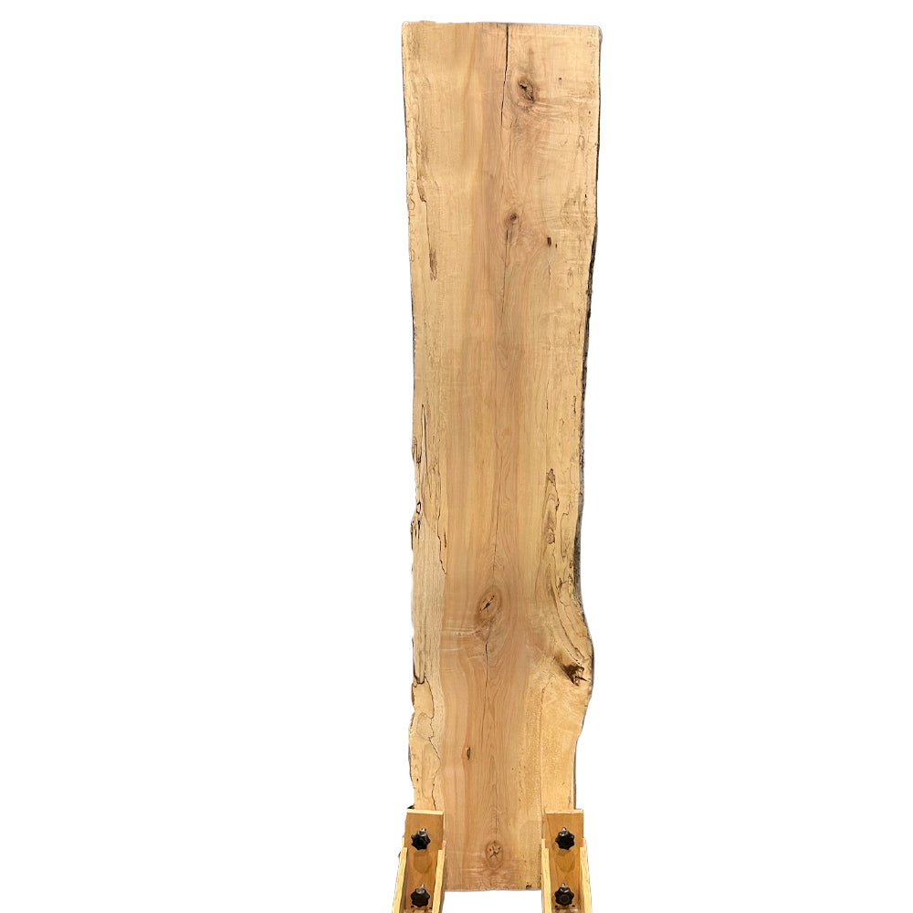 Maple Spalted Live Edge Slabs - 9/4 x 21" x 100"