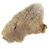 Brown Mallee Burl Wood - 4" x 18" x 12"