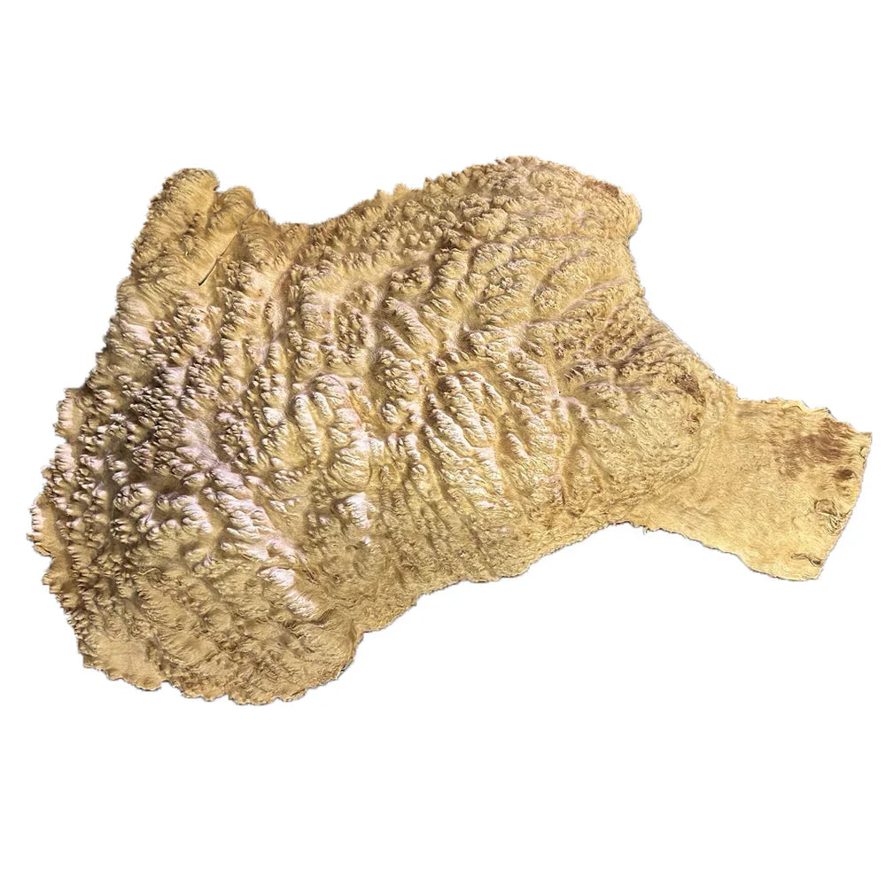 Loupe de Red Mallee - 3" x 19" x 14"