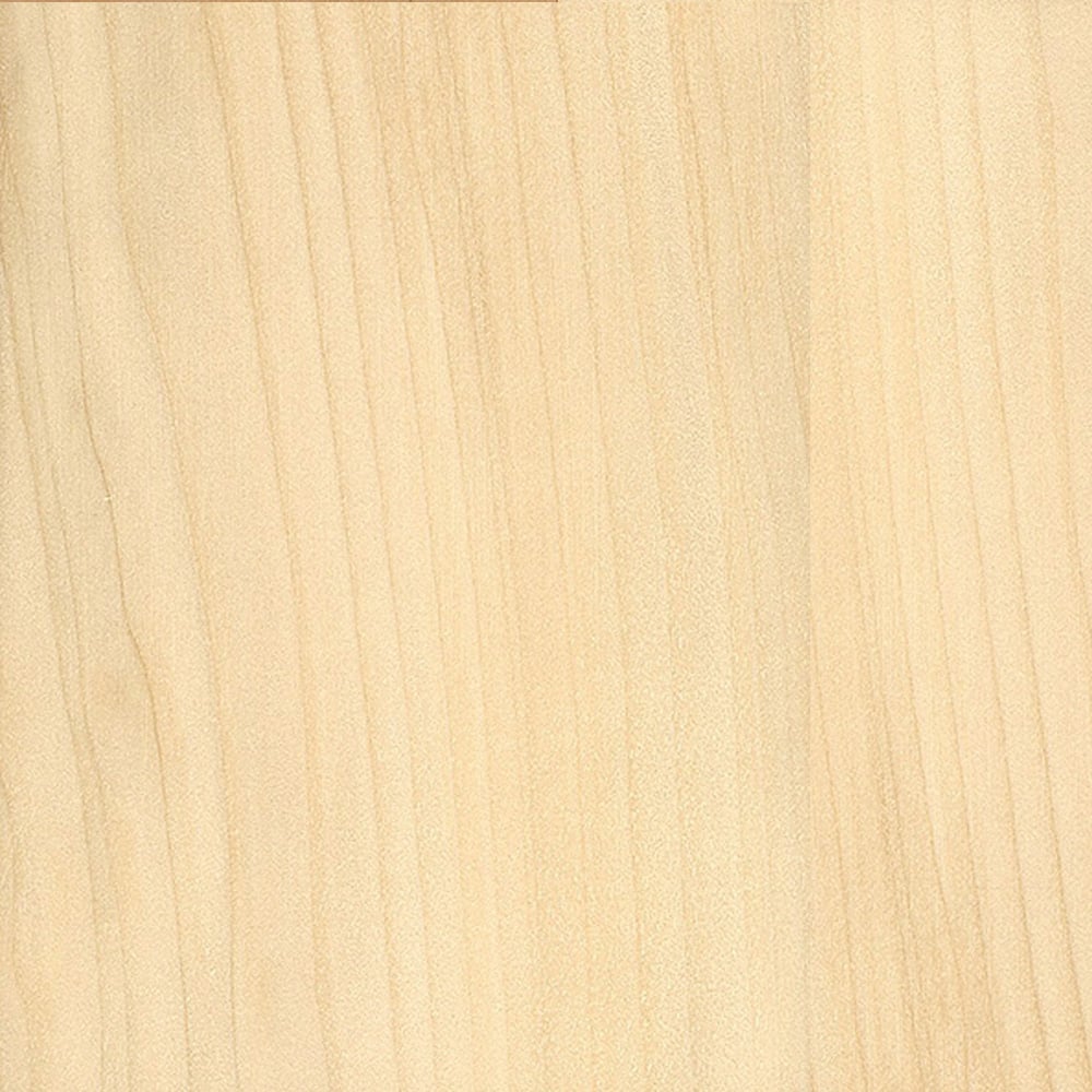 Tupelo - Bois brut