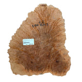 Burl Wood Red Mallee - 4" x 12" x 13"