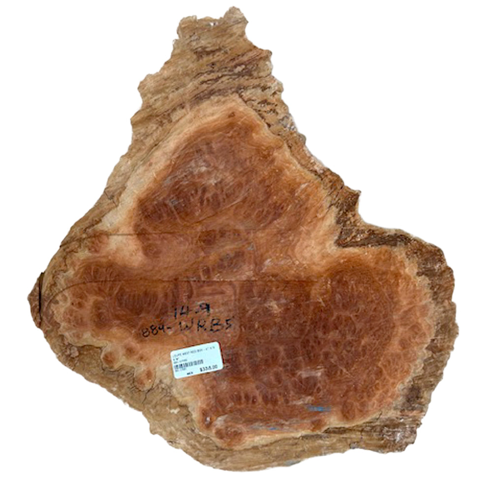 Burl Wood West Red Box - 4" x 18" x 18"