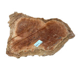 Burl Wood West Red Box - 4" x 18" x 18"