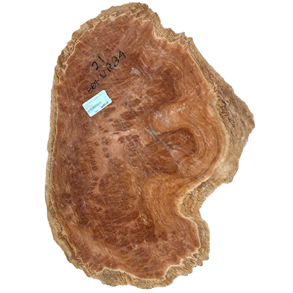Burl Wood West Red Box - 5.5" x 15" x 21"