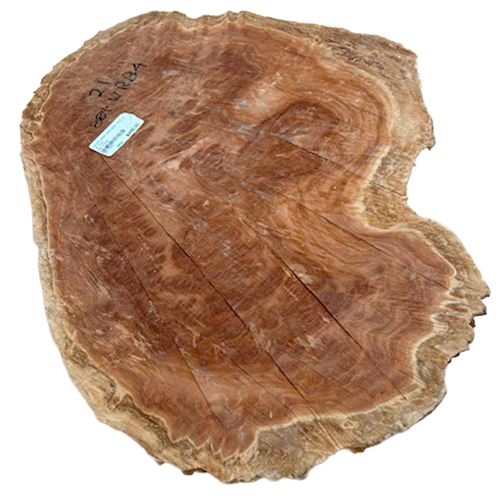 Burl Wood West Red Box - 5.5" x 15" x 21"
