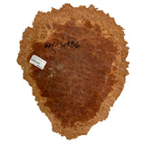 Burl Wood West Red Box - 3 1/2" x 14" x 17"