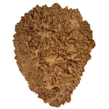 Burl Wood West Red Box - 3 1/2" x 14" x 17"