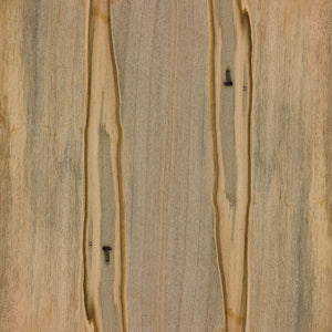 Ambrosia Maple