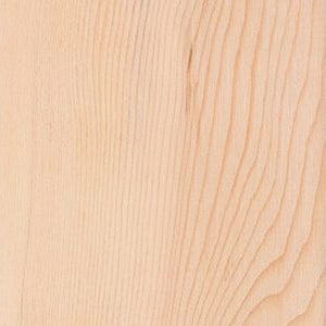 Eastern Hemlock