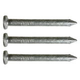  Hot-dip galvanized nails for stirrups