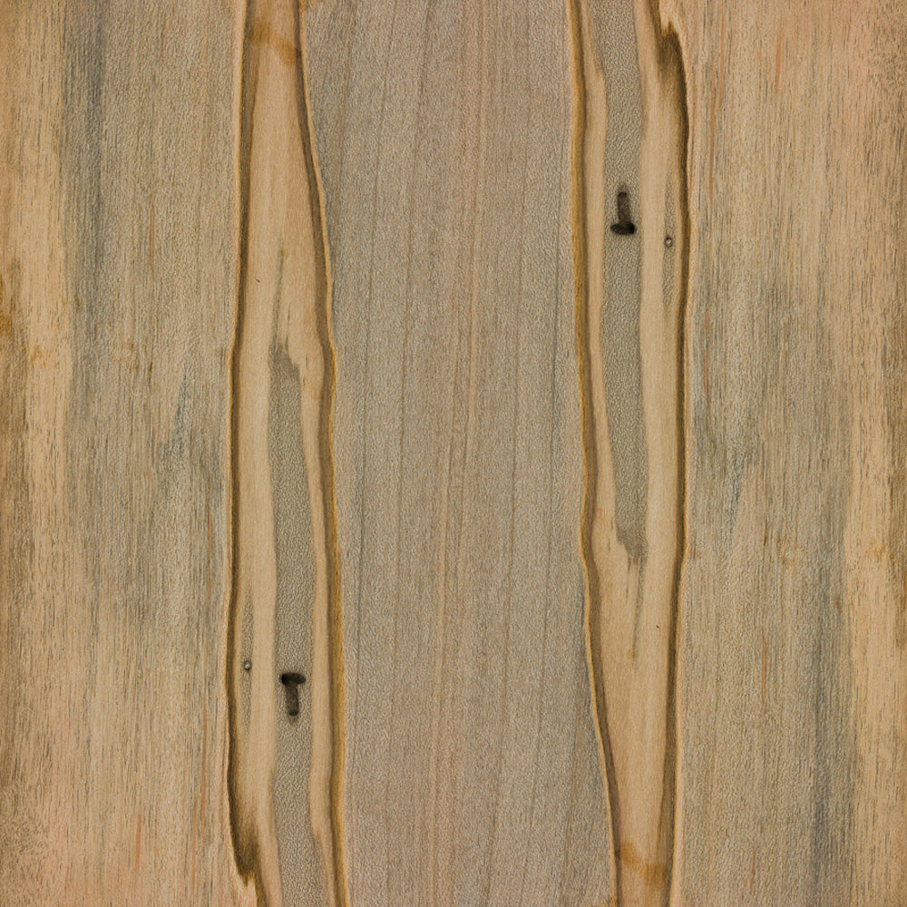Ambrosia Maple - Rough Cut Lumber